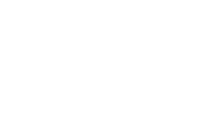 FLYDRIVE_LOGO