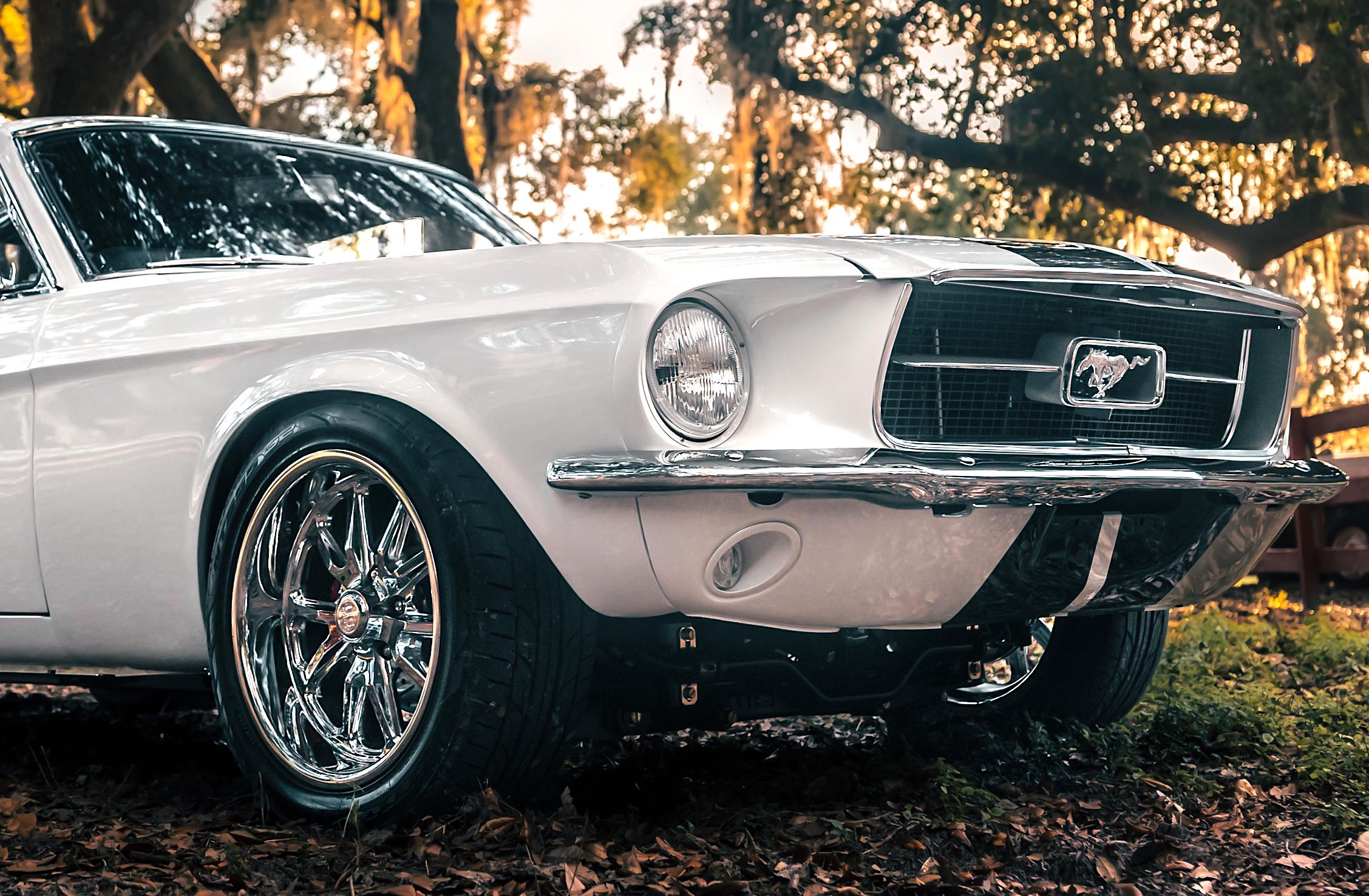 Carscoops Mustang