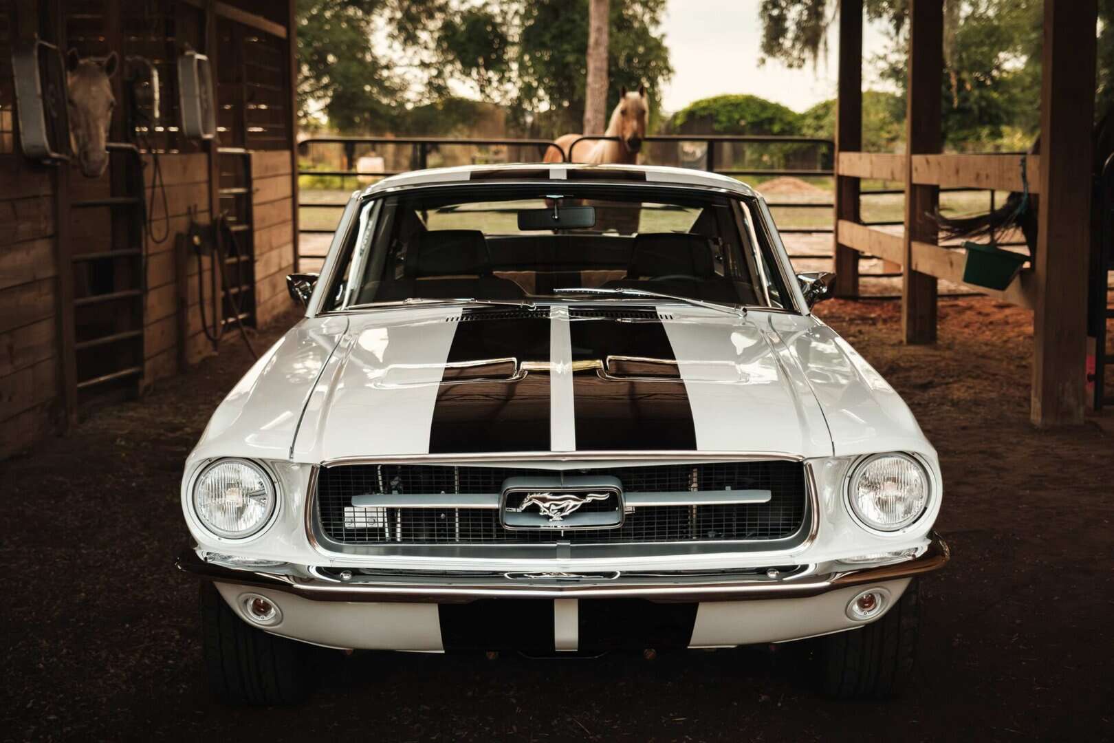 classic mustang